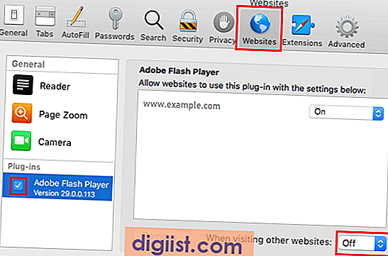 mac adobe flash player blocked chrome
